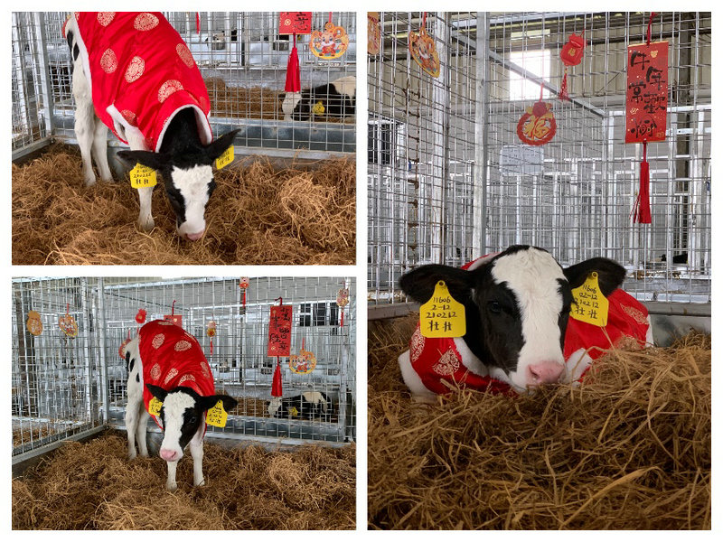 image3.jpg image3.jpg